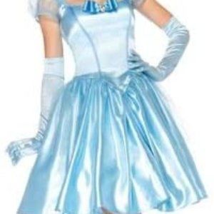 Women's Cinderella Costume